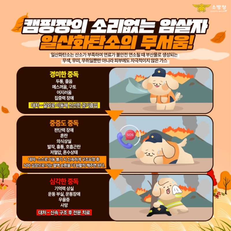 캠핑장 일산화탄소.png