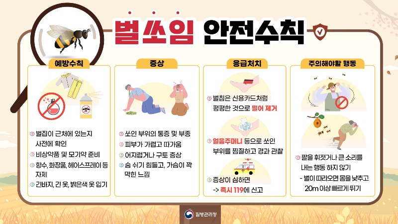 벌쏘임 안전수칙_ 디지털콘텐츠.jpg