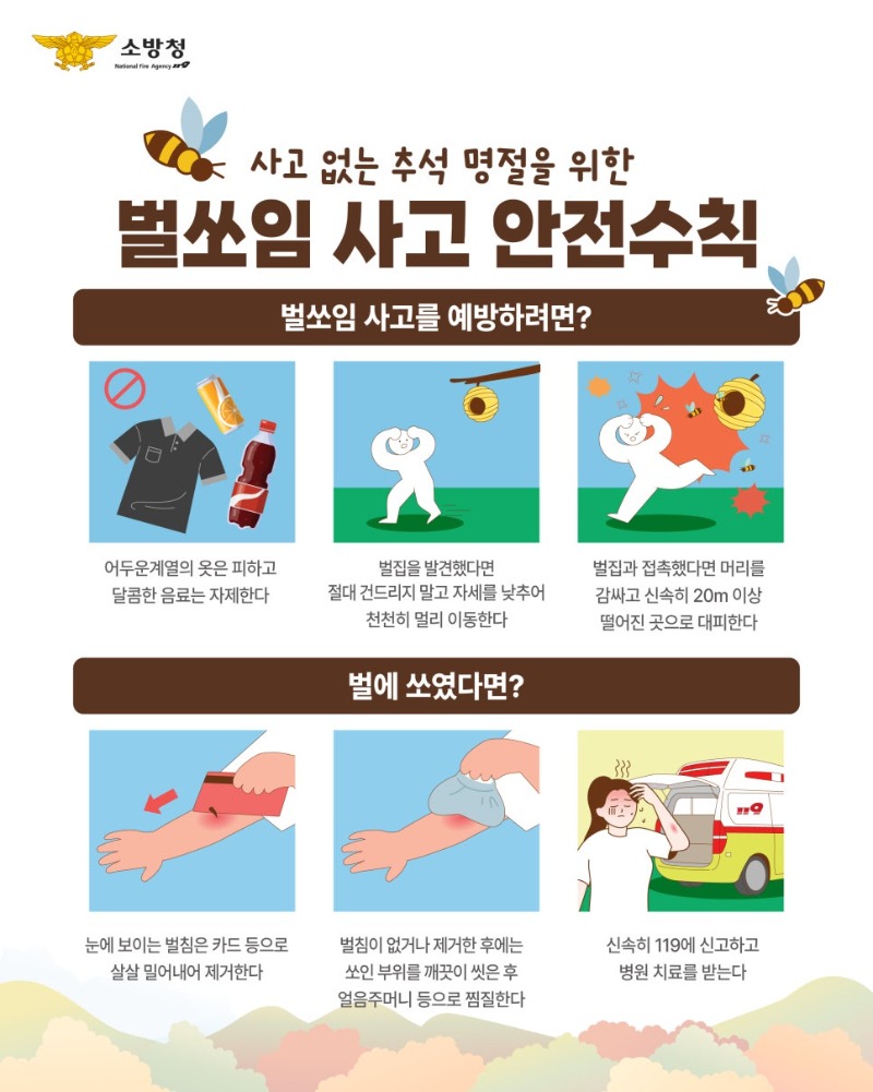 추석연휴_안전사고_카뉴-02.jpg