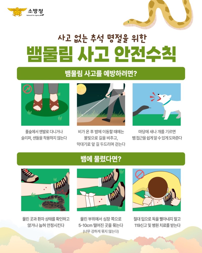 추석연휴_안전사고_카뉴-03.jpg