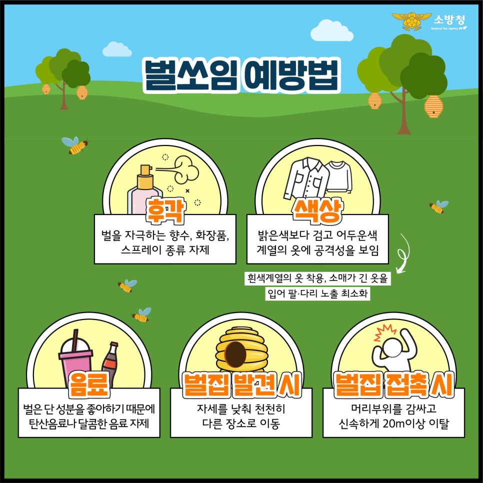벌쏘임 사고 예방
