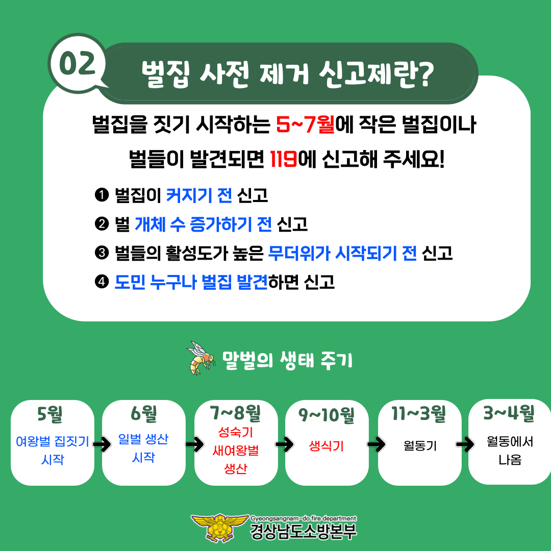 벌집 사전신고제