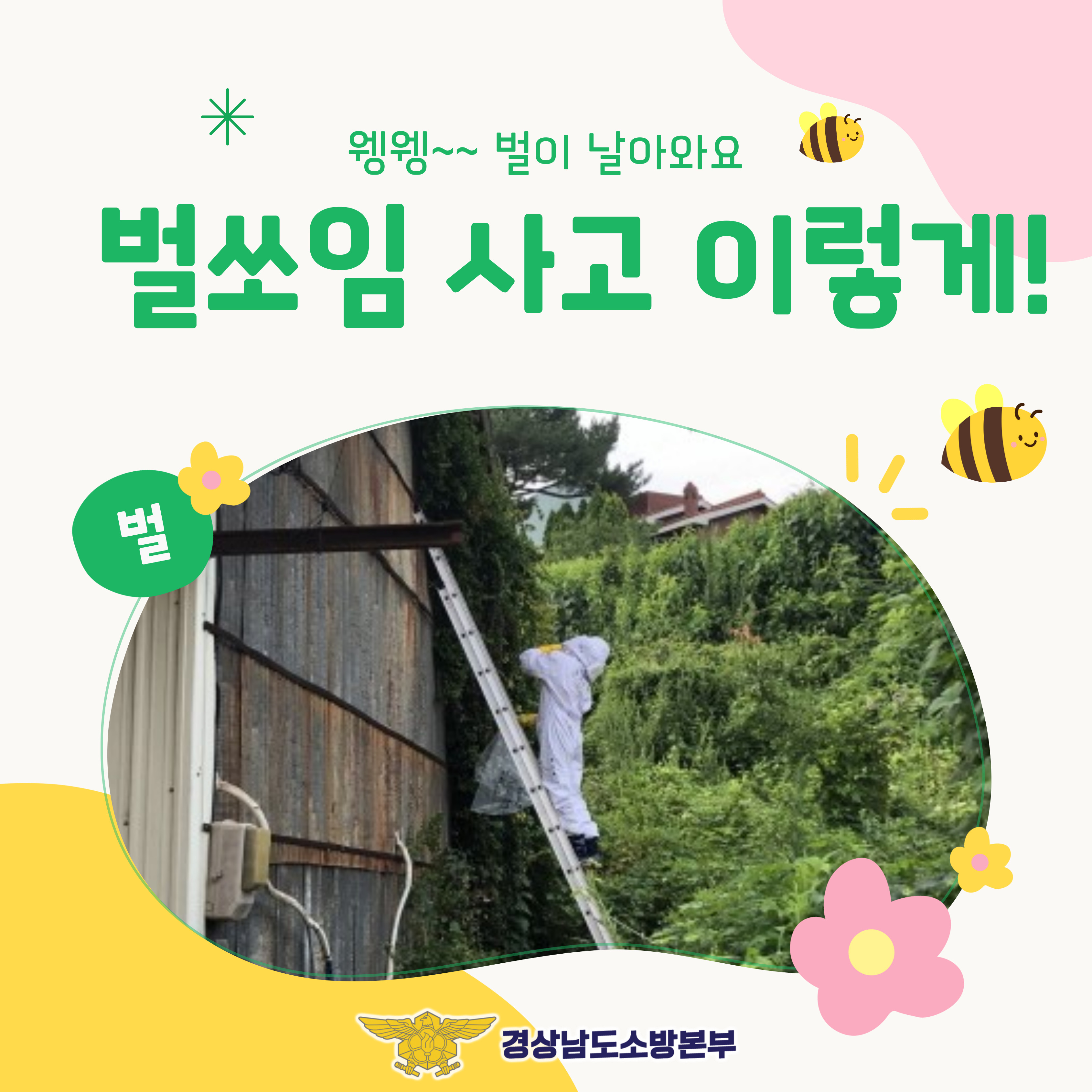 벌쏘임 사고 예방 안내