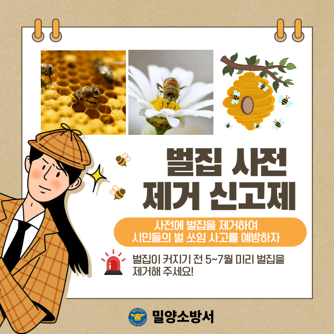벌집사전신고제