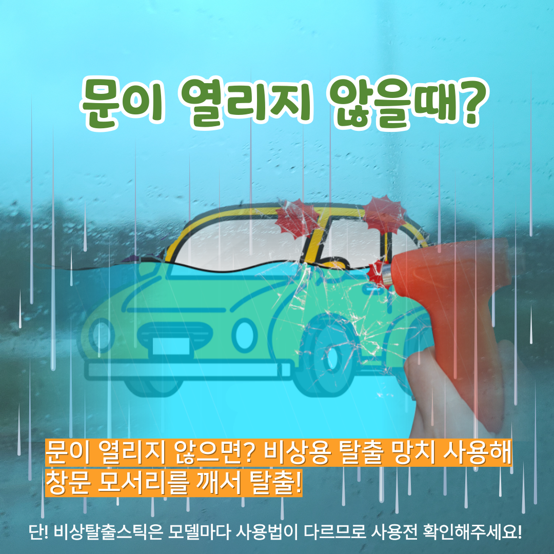 차량침수 대처방법